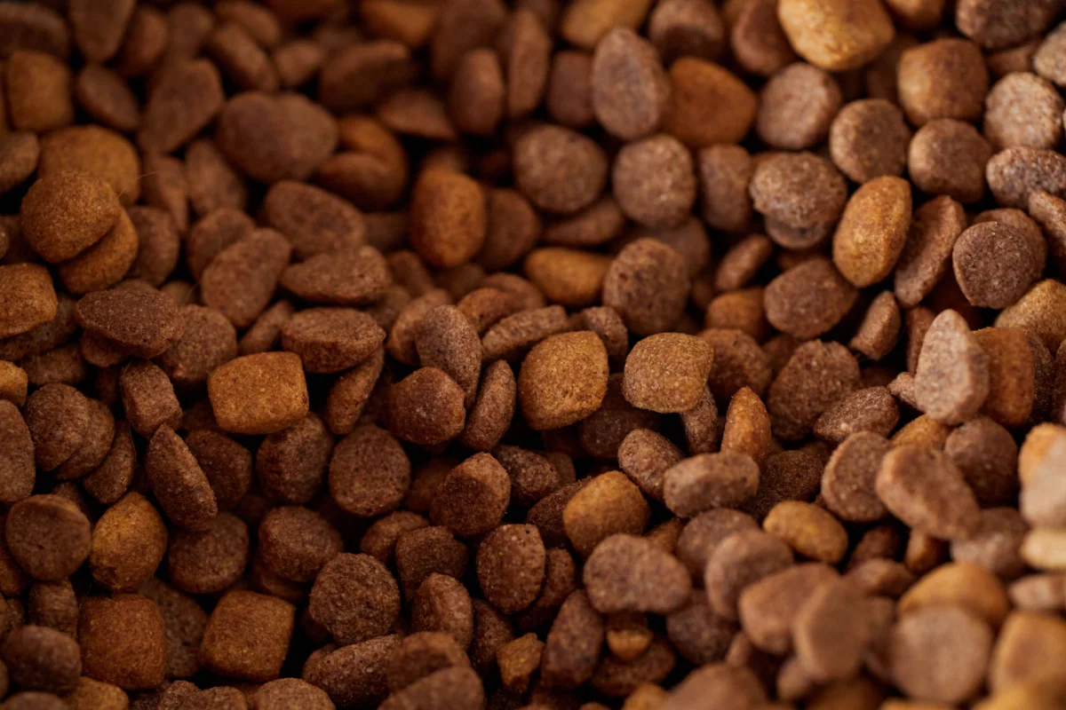 Kedi ve Köpek Maması Seçerken İçerik Etiketi Nasıl Okunur?